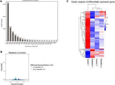 Integration of RNA-seq and ATAC-seq analyzes the effect of low dose neutron-γ radiation on gene expression of lymphocytes from oilfield logging workers